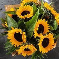 Sunflower Handtie