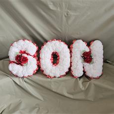 Artifical Son Red &amp; White