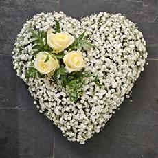 Heart of Gypsophila 