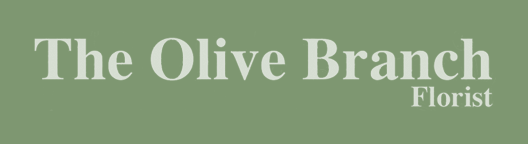 The Olive Branch